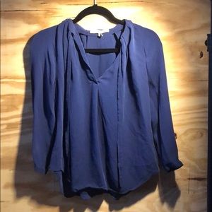 Haslinger heritage blue blouse